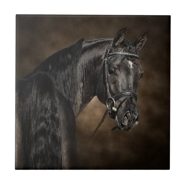 Der Araber Fliese (Vorderseite)