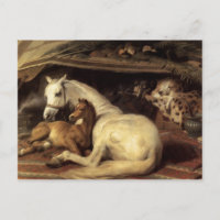 Der arabische Zent Edwin Landseer