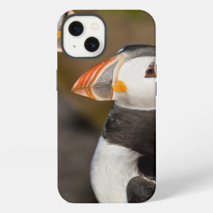 Der atlantische Papageientaucher, ein pelagischer iPhone Hülle