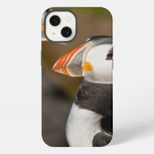 Der atlantische Papageientaucher, ein pelagischer iPhone Hülle