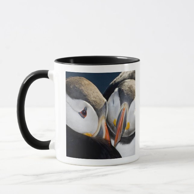 Der Atlantische Puffin, ein pelagischer Seevögel Tasse (Links)