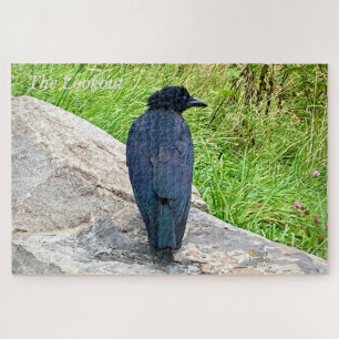 Der Ausblick - Stille Stille in den Smokies