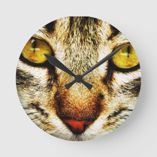 Der ausdrucksvolle Blick einer Hauskatze Runde Wanduhr