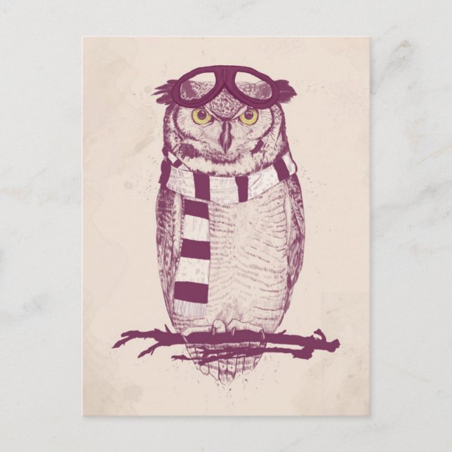 Der Aviator Postkarte (Vorderseite)