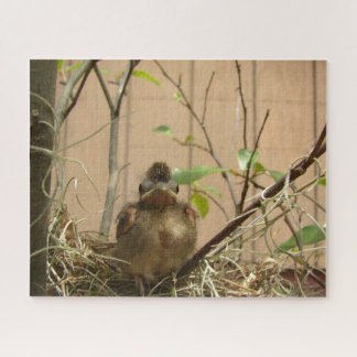 Der Baby-Kardinal gefressen — Rätsel