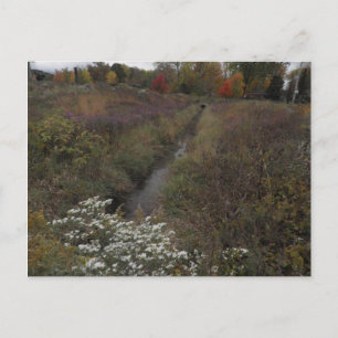 Der Bach Postkarte
