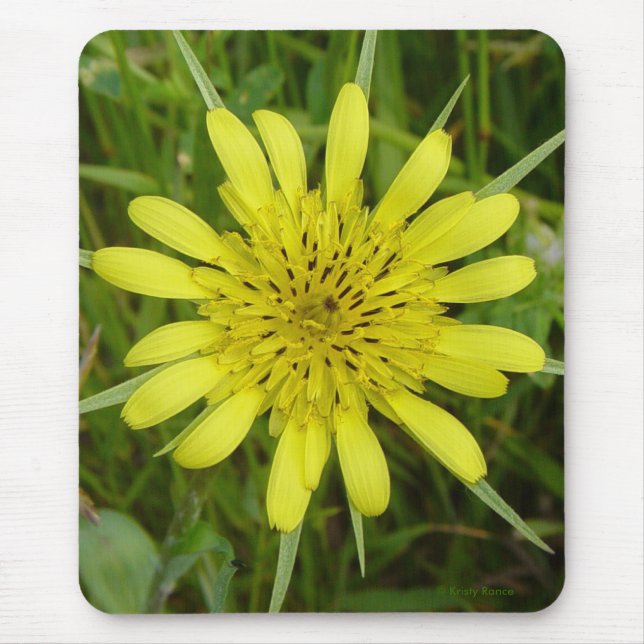Der Bart der gelben Ziege der Wildblume-F9 Mousepad (Vorne)