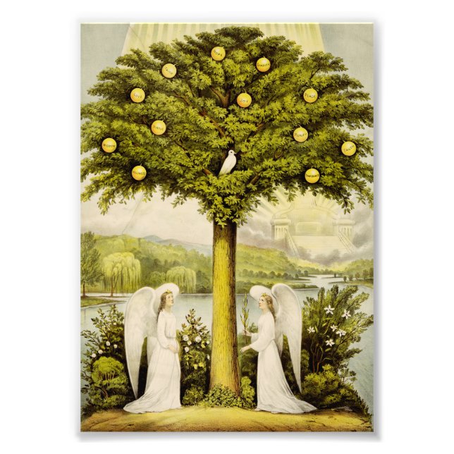 Der Baum des Lebens Fotodruck (Vorne)