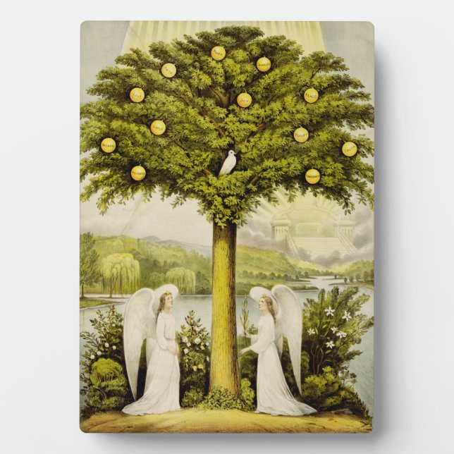 Der Baum des Lebens Fotoplatte (Vorderseite)