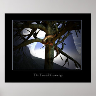 Der Baum des Wissens Poster