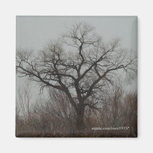 Der Baum Magnet