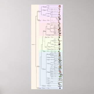 Der Baum von Yum: Animalia Print Poster