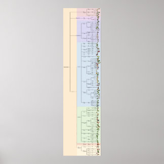 Der Baum von Yum: Plantae Poster