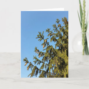 Der Baum zu Weihnachten
