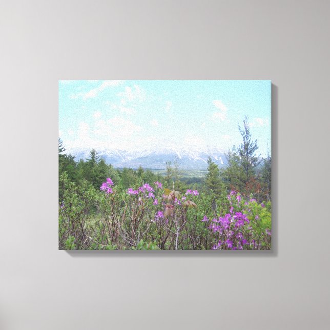 Der Berg Katahdin und die wild lebenden Blume Leinwanddruck (Vorderseite)