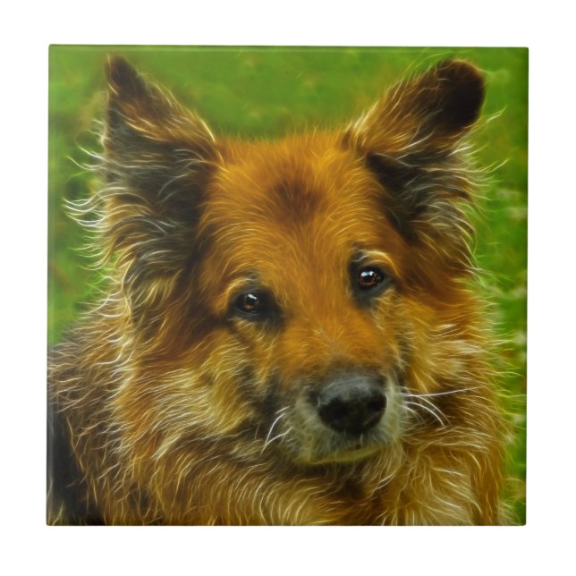 Der beste Freund #2 des Mannes Fliese (Vorderseite)