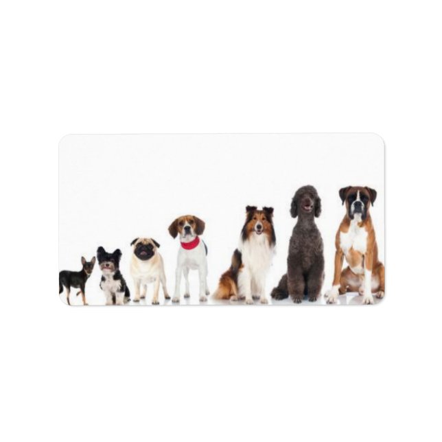 "Der beste Freund des Menschen." Adressaufkleber (Vorne)