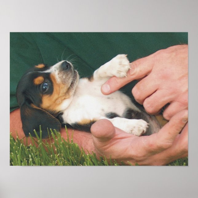 Der beste Freund des Menschen Poster (Vorne)