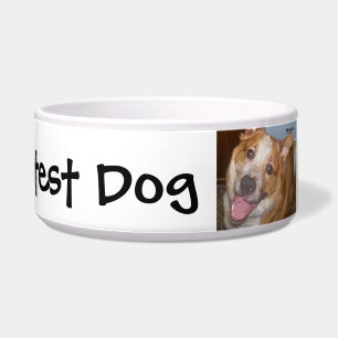 Der beste Hund mit Name und Foto Napf