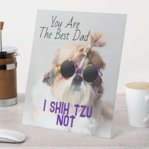 Der beste Vater Shih Tzu Nicht niedlich lustiges H Sockelschild