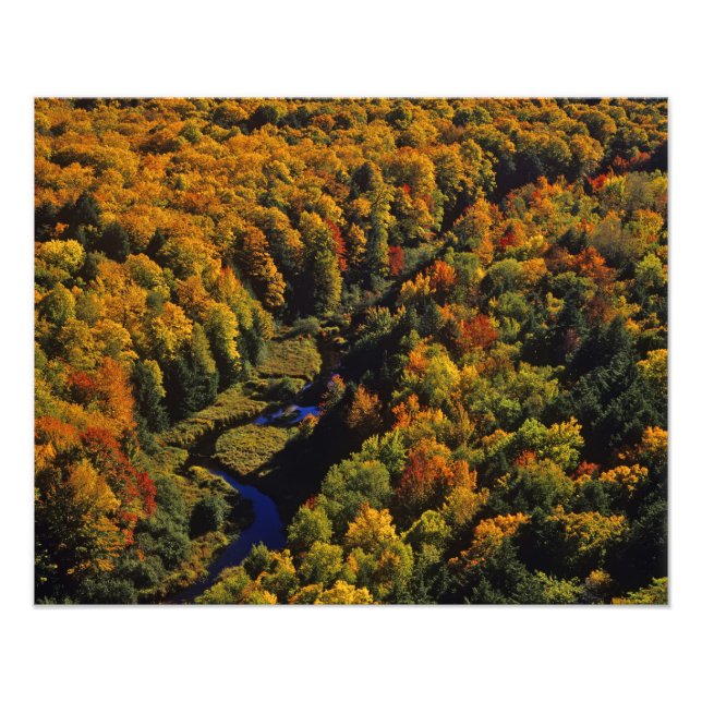 Der Big Carp River im Herbst bei Porcupine Fotodruck (Vorne)