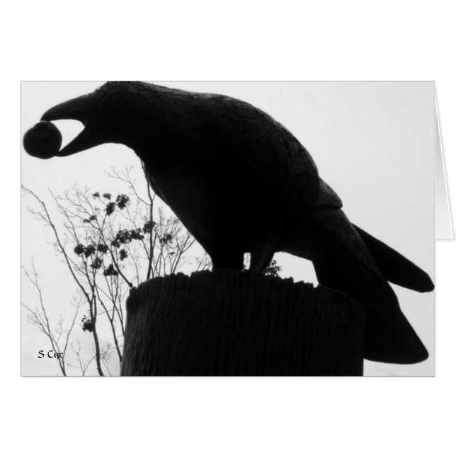 Der Biss des Raben, S Cyr (Vorderseite (Horizontal))