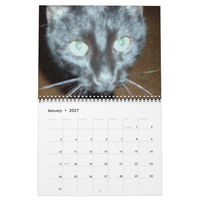 DER BLACK CAT-Kalender Kalender (Jan 2027)