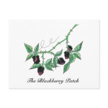 Der BlackBerry Patch...Postcard