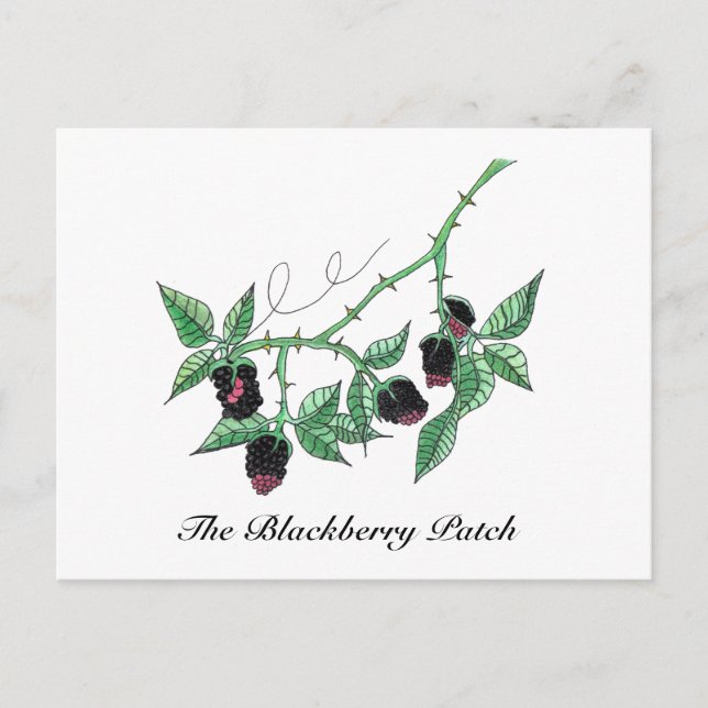 Der BlackBerry Patch...Postcard Postkarte (Vorderseite)