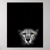 Der Blick auf den Blick, Leopard, Schwarz-Weiß-Fot