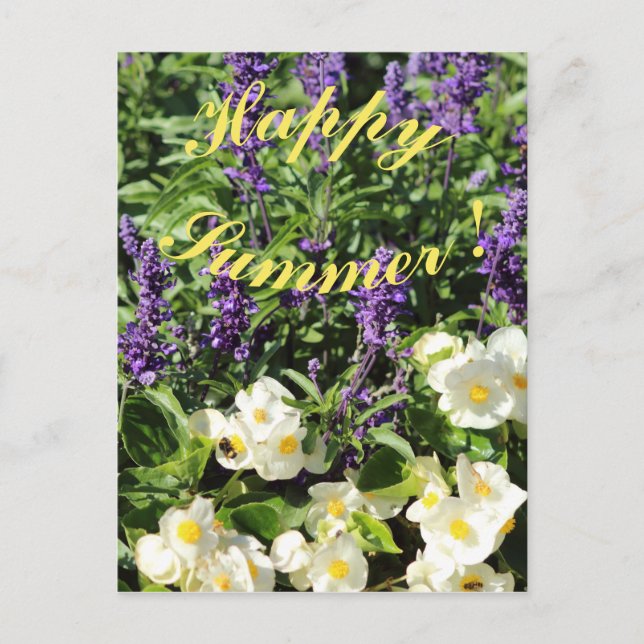 Der blühende Lavander und Begonium Postkarte (Vorderseite)