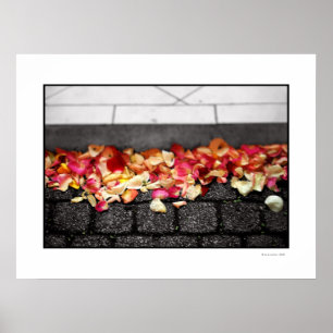 Der BODEN GINGEN SIE AUF Plakat