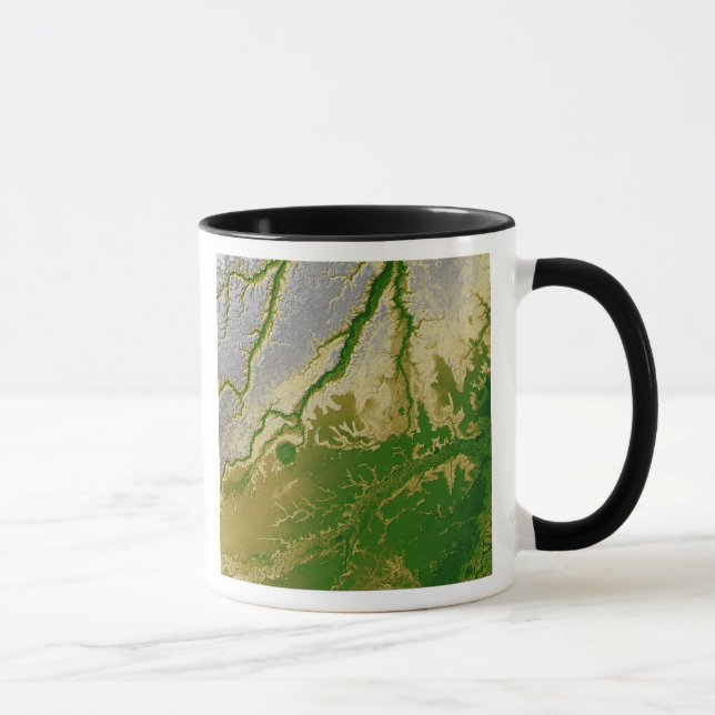 Der bolivianische Amazonas Tasse (Rechts)