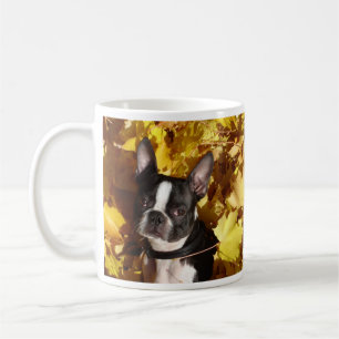 Der Boston-Terrier-Hund, der bis zum Herbst Kaffeetasse