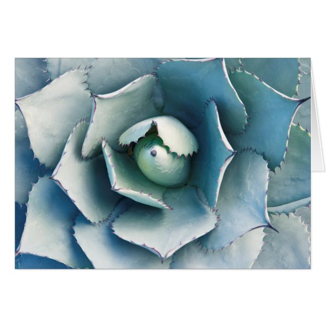 Der Botanische Garten von Huntington (Vorderseite (Horizontal))