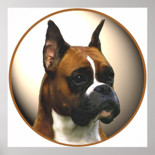 Der Boxerdog Poster