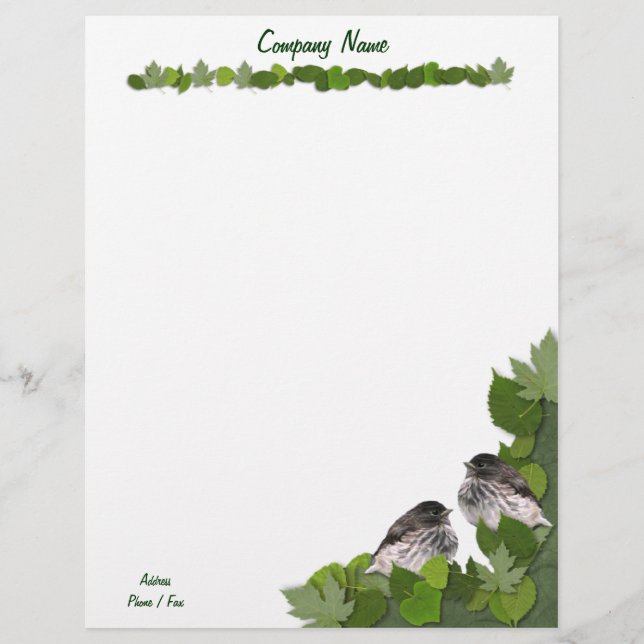 Der Briefkopf Babyjuncos (Vorderseite)