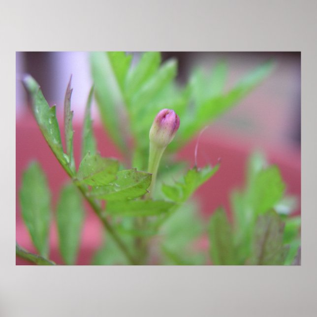 Der Bud Poster (Vorne)