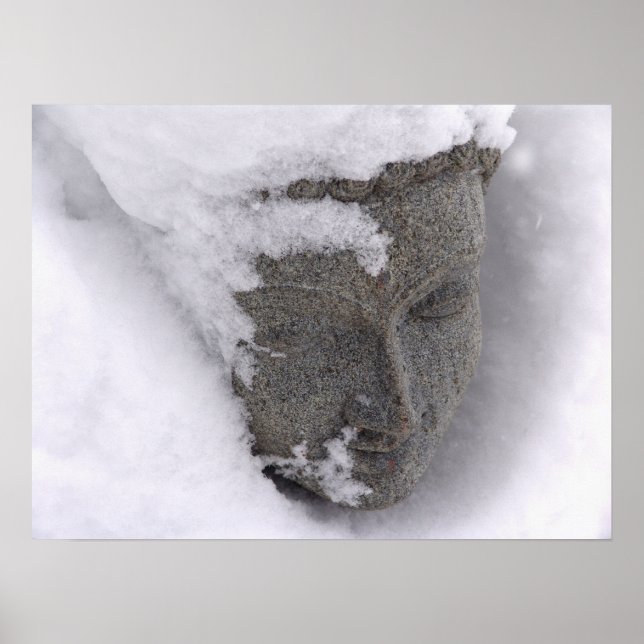 Der Buddha im Winter Poster (Vorne)