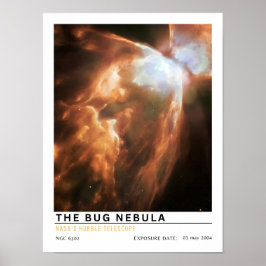 Der Bug-Nebel Weltraum-Bildung Poster