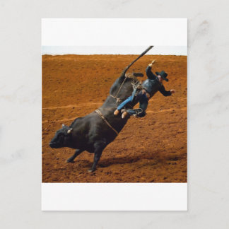 Der Bull Rider Postkarte