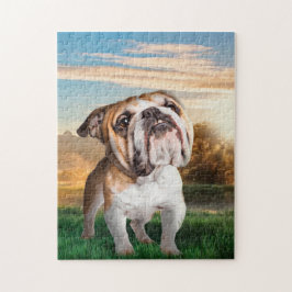 Der Bulldog