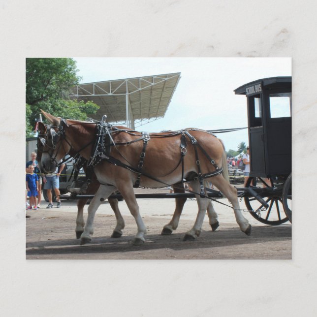 Der Bus der Mule Driven School Postkarte (Vorderseite)