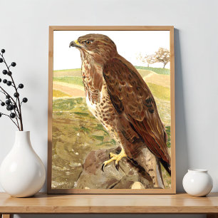 Der Bussard Poster