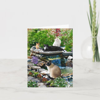 "Der Cat-Wellness-Center"-Merkkarte