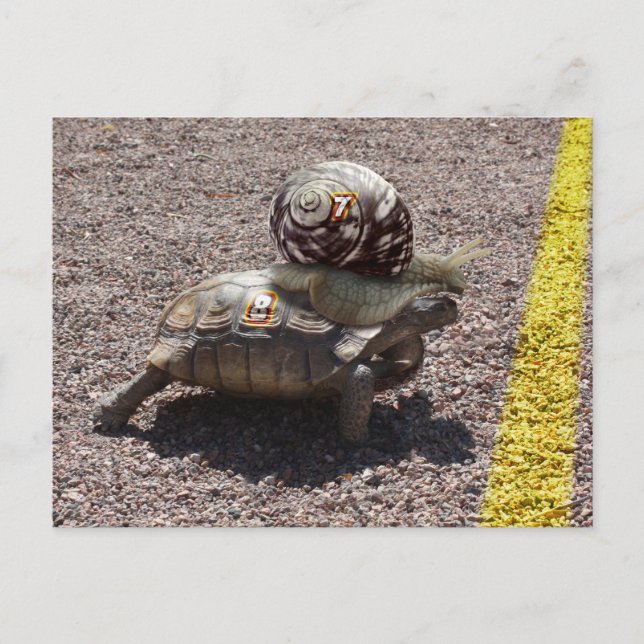 Der Cheater Postkarte (Vorderseite)