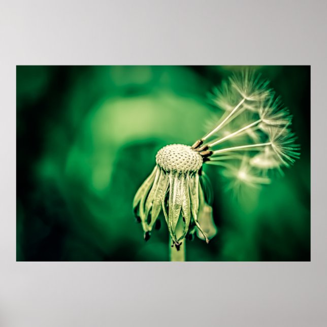 Der Chef Poster (Vorne)