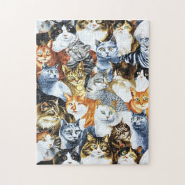 Der Clowder von CATS