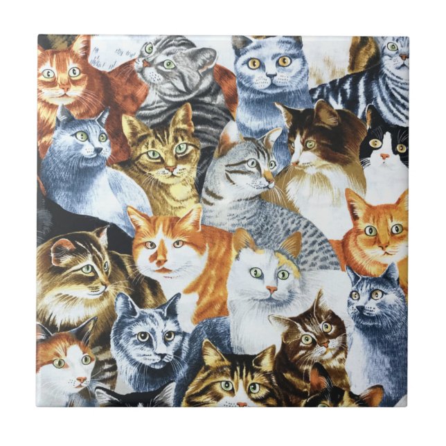Der Clowder von CATS Fliese (Vorderseite)