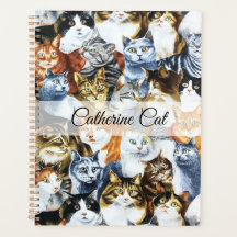 Der Clowder von CATS